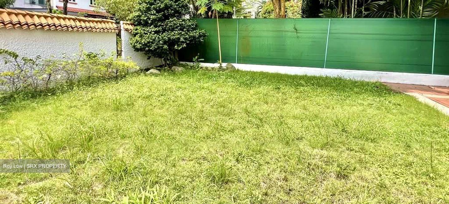 Raffles Park (D11), Detached #610247411